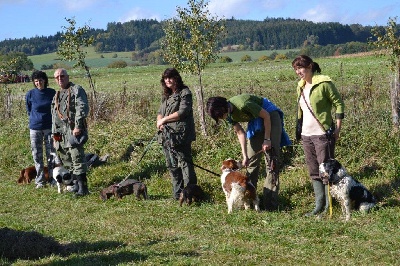 of Artemis´s Instincts - Laska a son certificat de travail