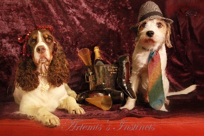 of Artemis´s Instincts - Meilleurs voeux pour 2012