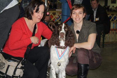 of Artemis´s Instincts - Luxembourg Spring Dog Show 2011