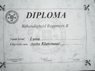 of Artemis´s Instincts - Luna a son diplome d'agility