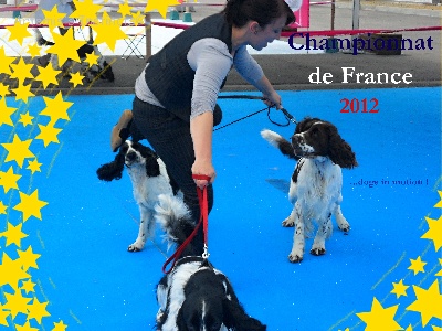 of Artemis´s Instincts - Championnat de France 2012