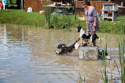 of Artemis´s Instincts - reunion scf Alsace